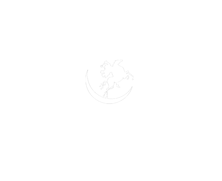 cowgirlfinds